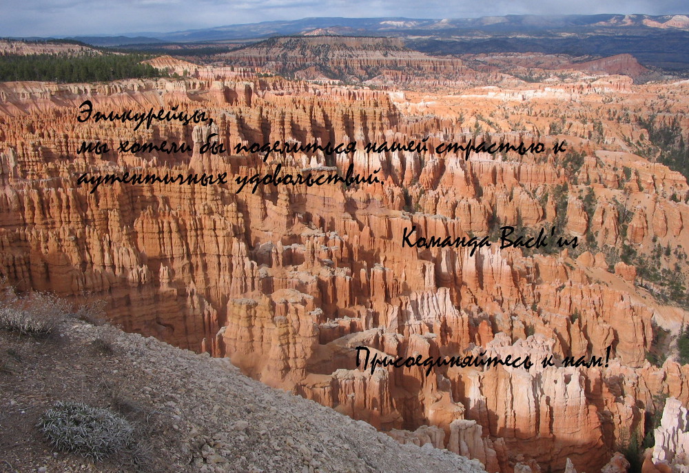 Брайс-Каньон (Юта - США) Travels Meals Wine oenogastronomy oenology Back'us